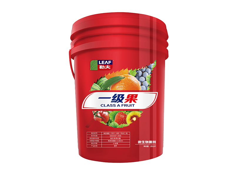 紅桶肥——一級(jí)果